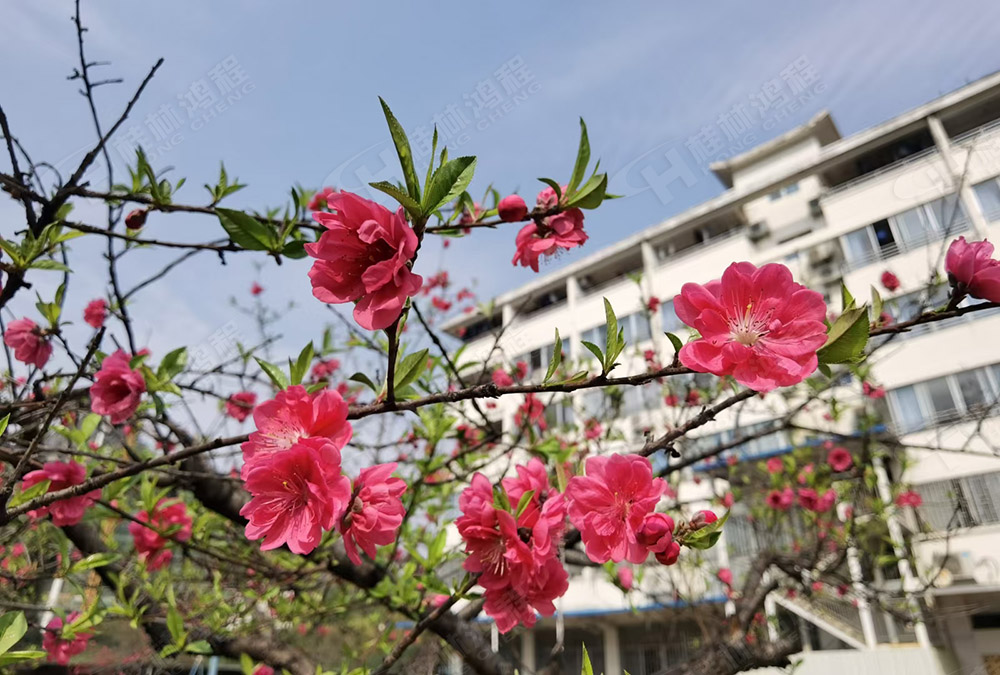 桂林鴻程花團(tuán)錦簇，滿園春色，邀您一起共賞春景，共商大計(jì)！